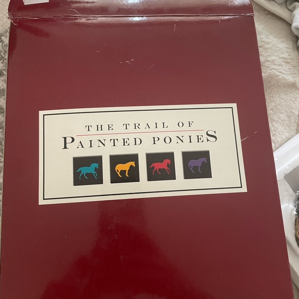 Sky of enchantment painted poney